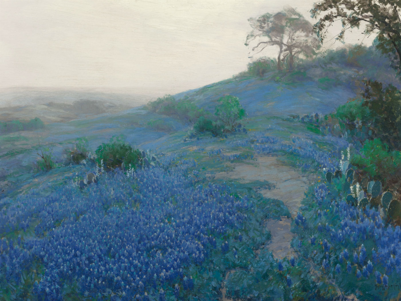 Julian_Onderdonk_-_Blue_Bonnet_Field,_Early_Morning,_San_Antonio_Texas_(1914)