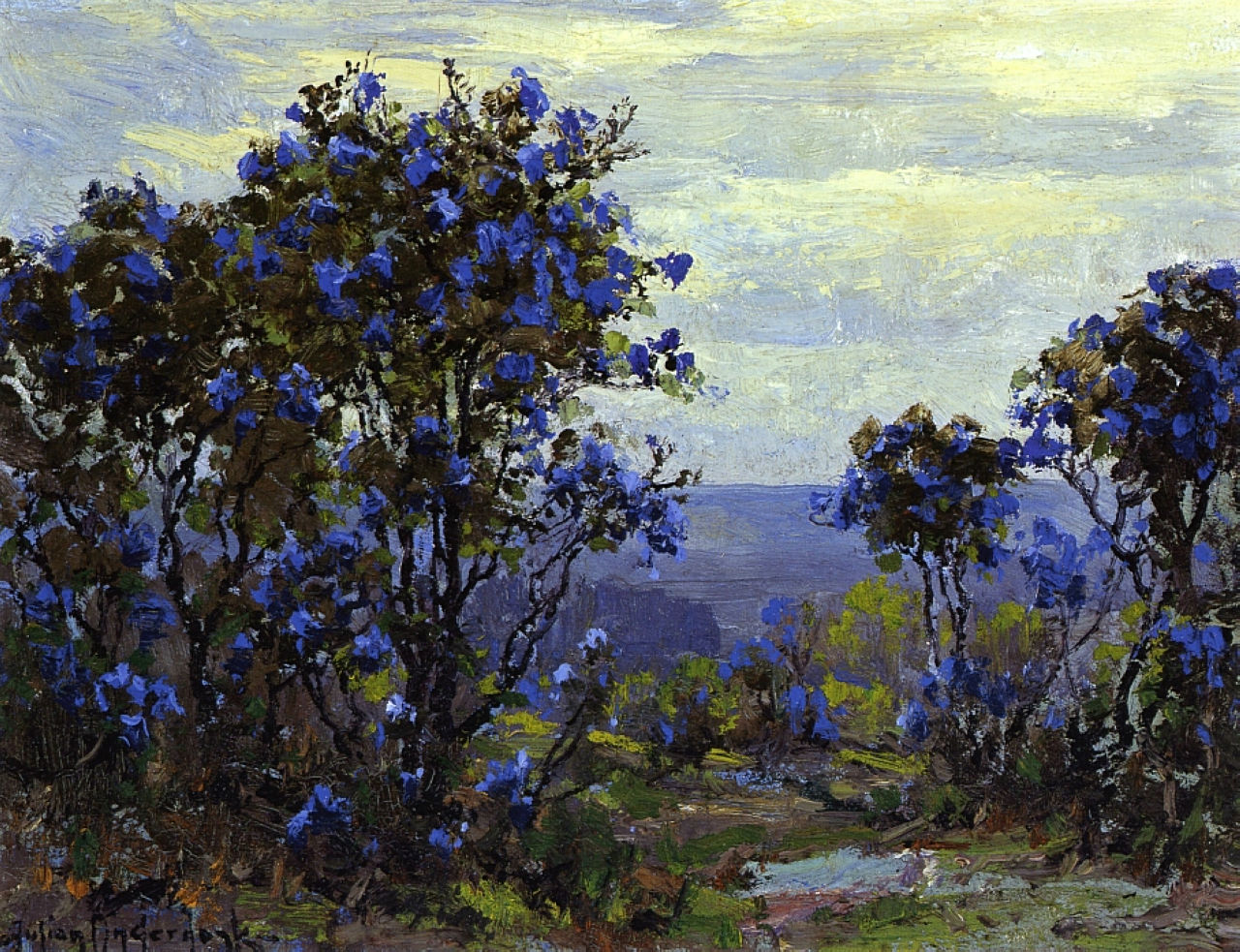 Robert Julian Onderdonk - mountain-laurel-in-bloom